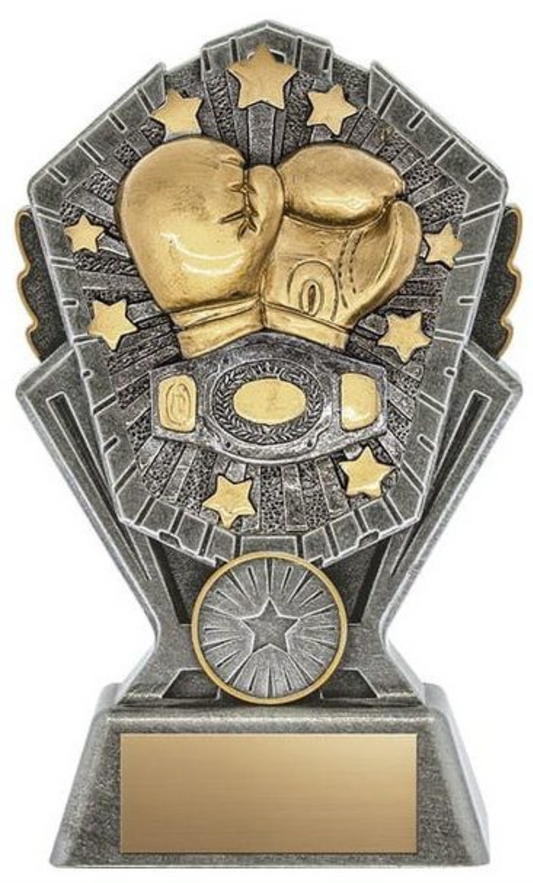 Boxing trophy - Cosmos series