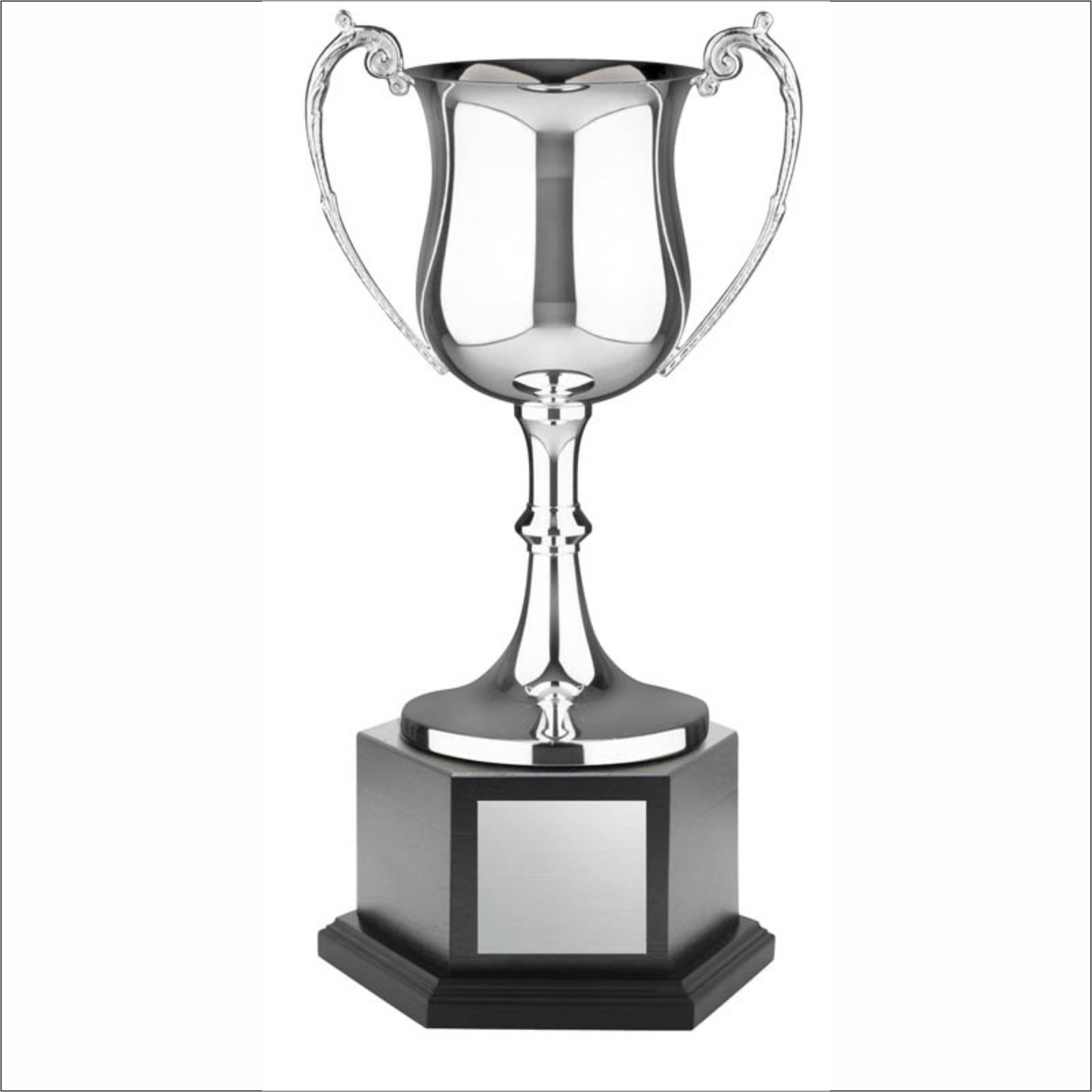 Nickel Plated Cup - Endurance - Hex Black Base