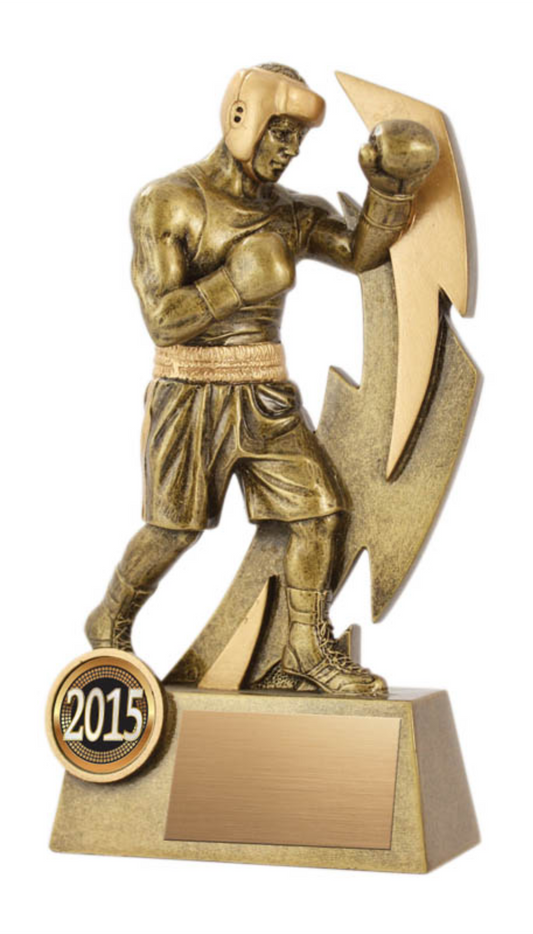 Boxing trophy - Flash series