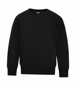 Youth Crewneck Sweatshirt - Cotton - ATC Y2400
