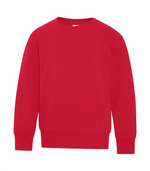 Youth Crewneck Sweatshirt - Cotton - ATC Y2400