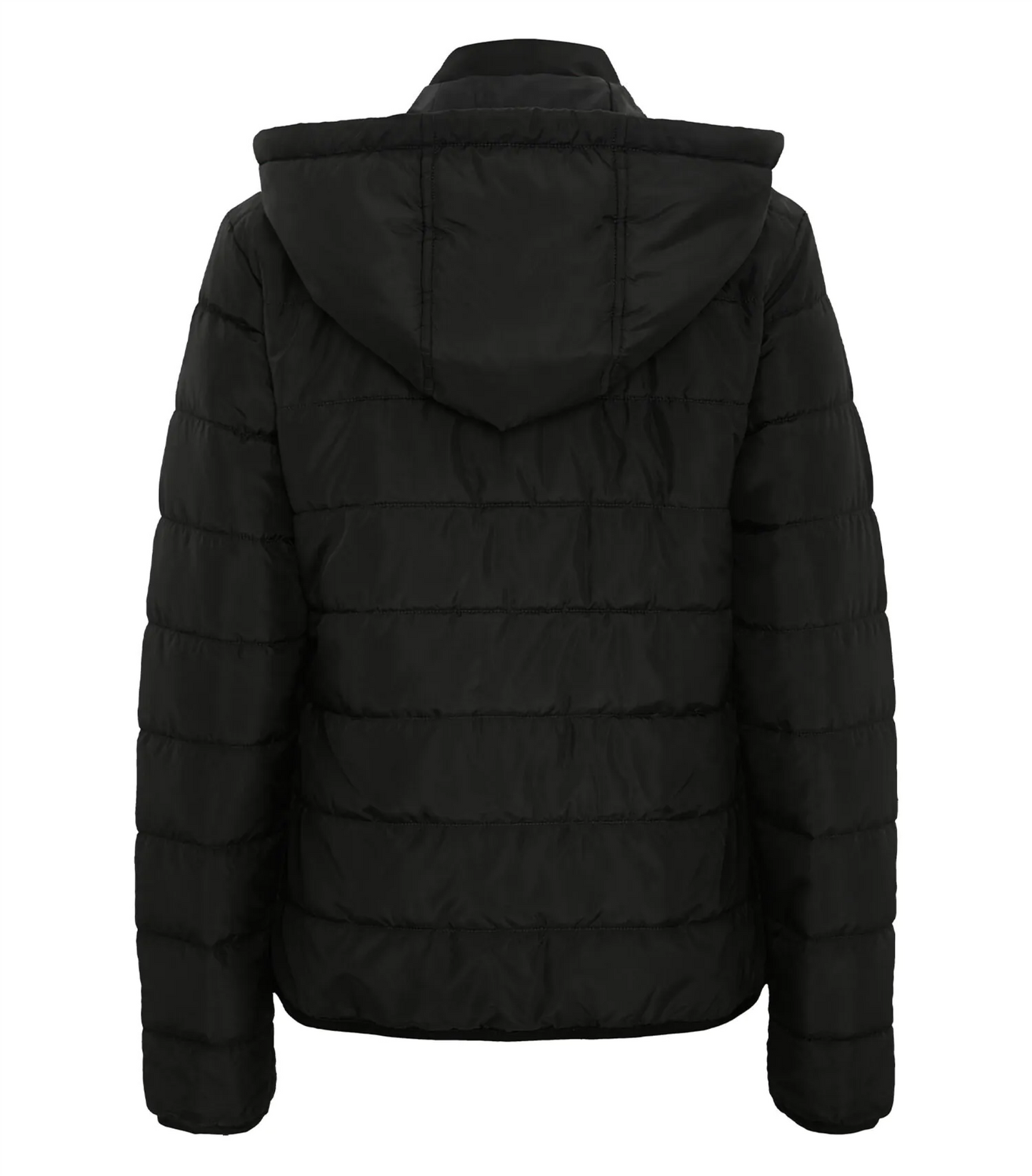 Essential Hooded Insulated Ladies' Jacket ─Dryframe DF7630L