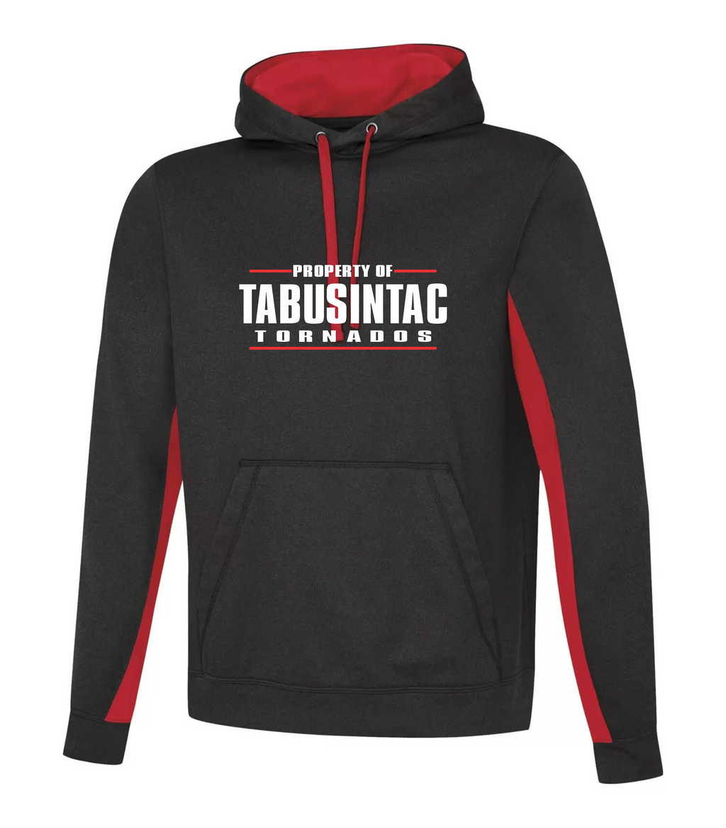 Polyester Hoodie - Tabusintac School 2024-25