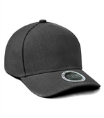 TAHOMA -2 PANEL CAP ─ INIVI IV152