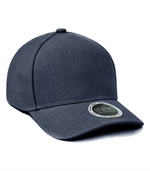 TAHOMA -2 PANEL CAP ─ INIVI IV152