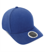 BOTTLECAP -2 PANEL CAP ─ INIVI IV163