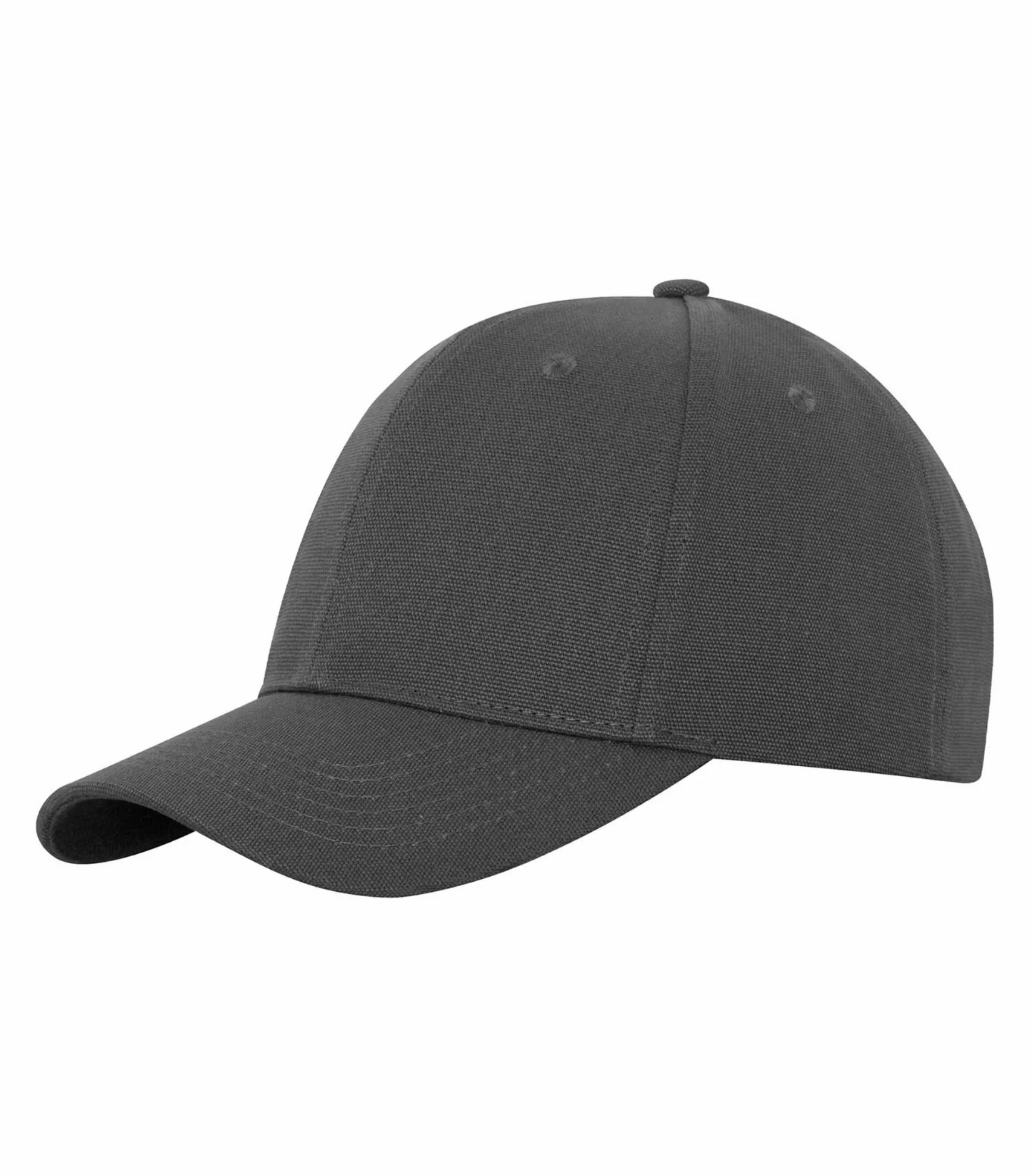 Canvas Snapback Cap - WeRK1331