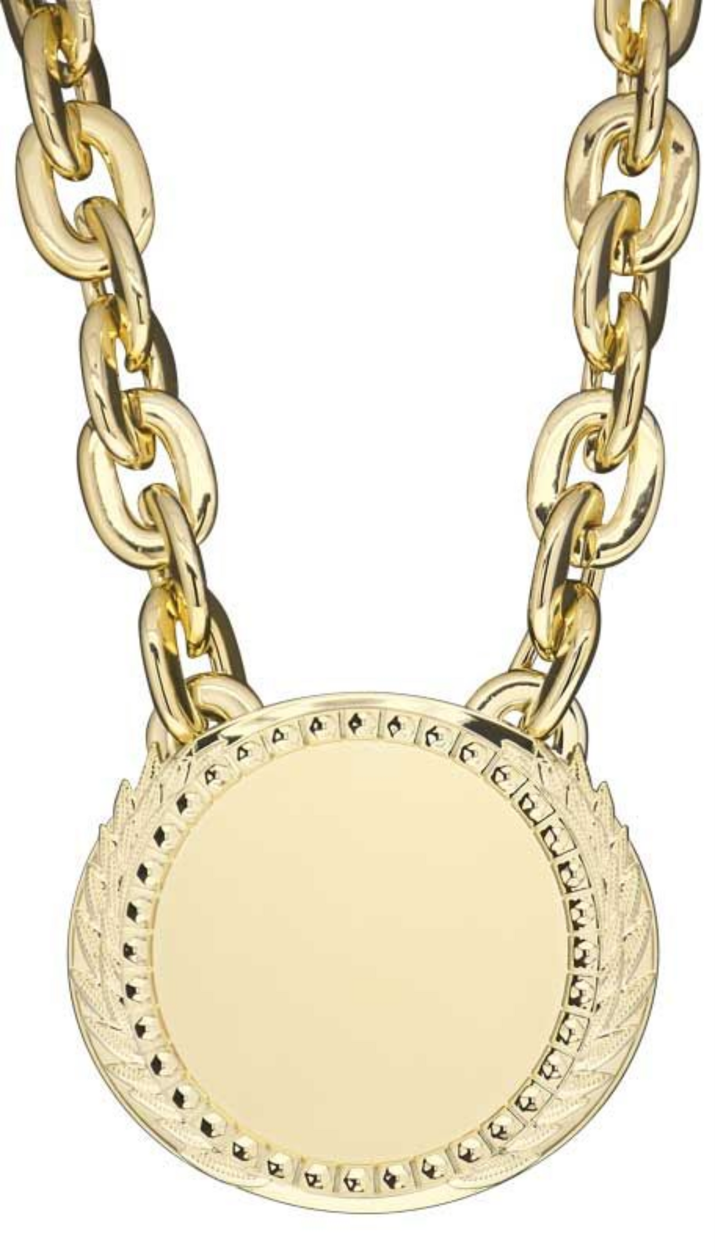 XL Alpha Medal w/Chain 6" x 5.25", Bright Gold & Silver