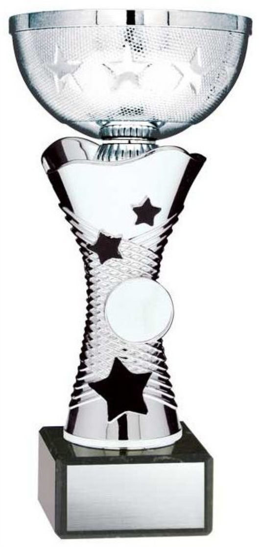 Economy Cup with Graphite Stars - Silver