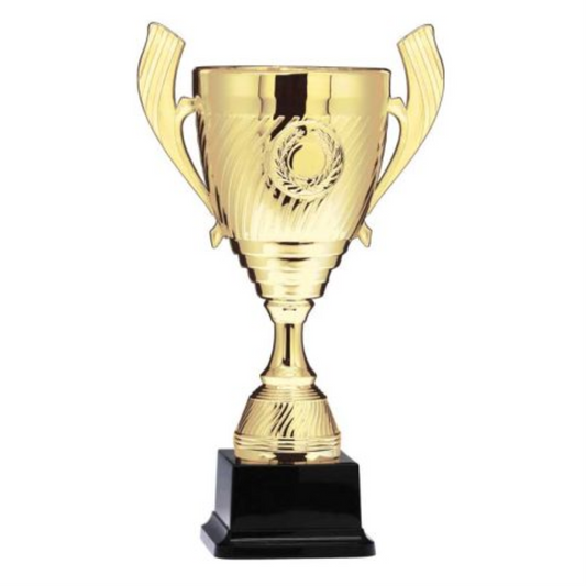 Economy Plastic Cup - with 2" Insert