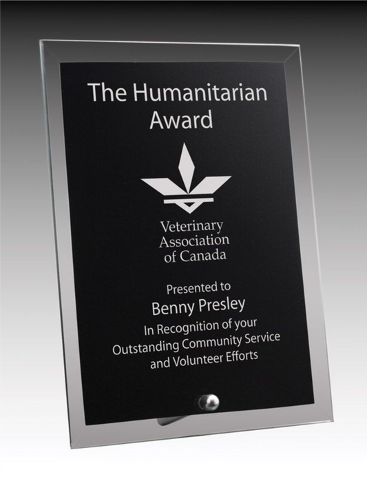 Black Reflection Series - Black Glass Plaque with Pin