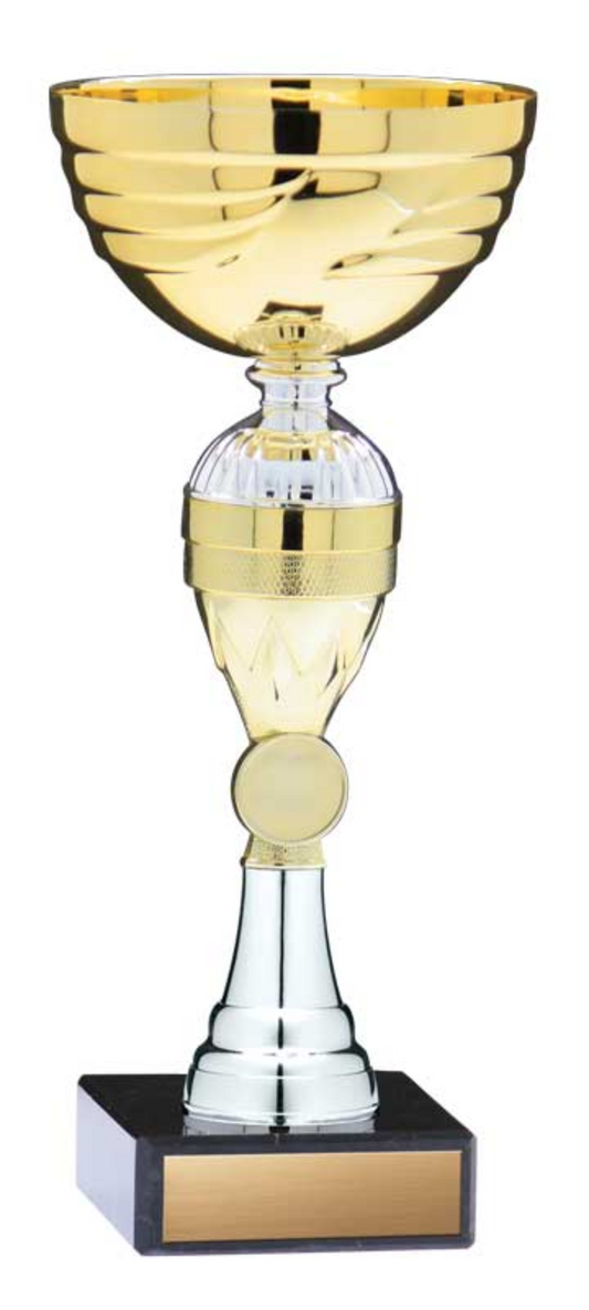 Ecomomy Cup - Gold/Silver - Economy series