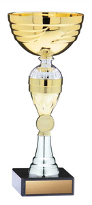 Ecomomy Cup - Gold/Silver - Economy series