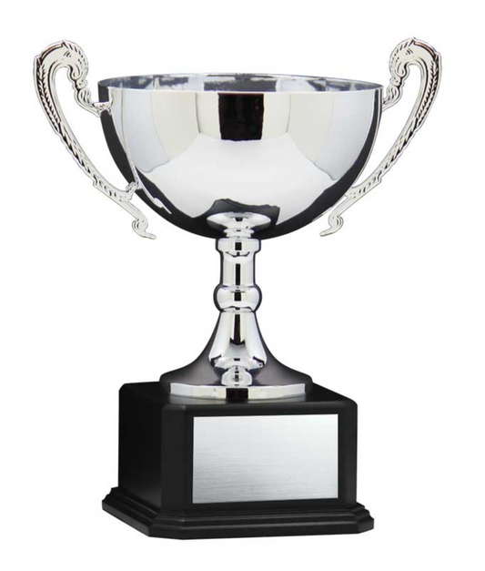 Wide Silver Cup With Handles