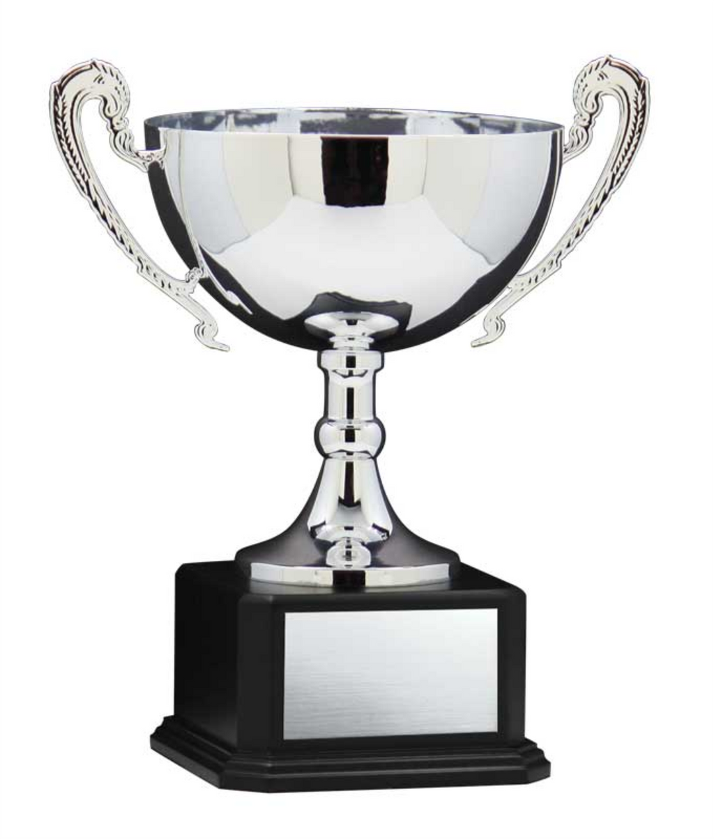 Wide Silver Cup With Handles