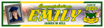 The ’Emily’ Banner - 2’ x 8’