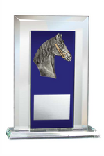 Horse Award - Glass Mirror Blue with Resin Relief