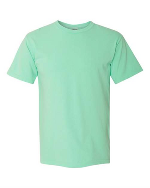 Adult T-Shirt - Heavyweight Cotton - Gildan 1717
