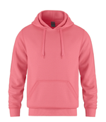 Flash - Adult Pullover Hooded Sweatshirt - L00552 Sportwear