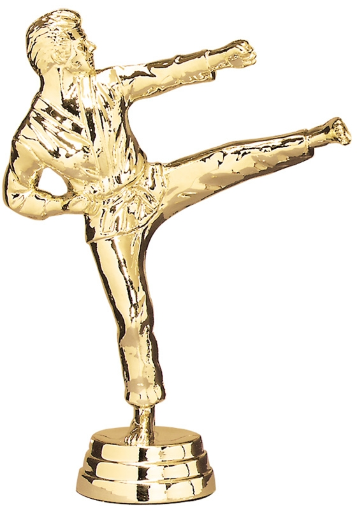 Perpetual Award - Mahogany Finish 11.5" Annual trophy - WTP2036