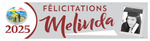 The ’Melinda’ Banner - 2’ x 8’