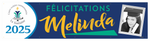 The ’Melinda’ Banner - 2’ x 8’