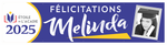 The ’Melinda’ Banner - 2’ x 8’