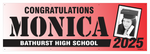 The ’Monica’ Banner - 2’ x 6’