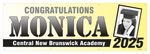 The ’Monica’ Banner - 2’ x 6’