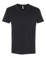 Sueded V-Neck T-Shirt- Next Level 6440