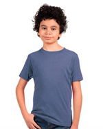 Youth Triblend T-Shirt - Next Level 6310