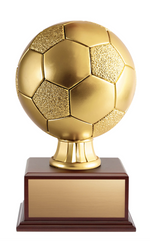 Soccer 14’’ Annual trophy
