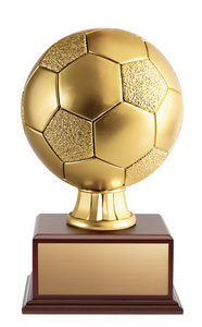 Soccer 14’’ Annual trophy