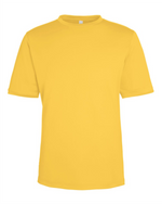 CORE 365 Unisex Capital Performance T-Shirt - CE10