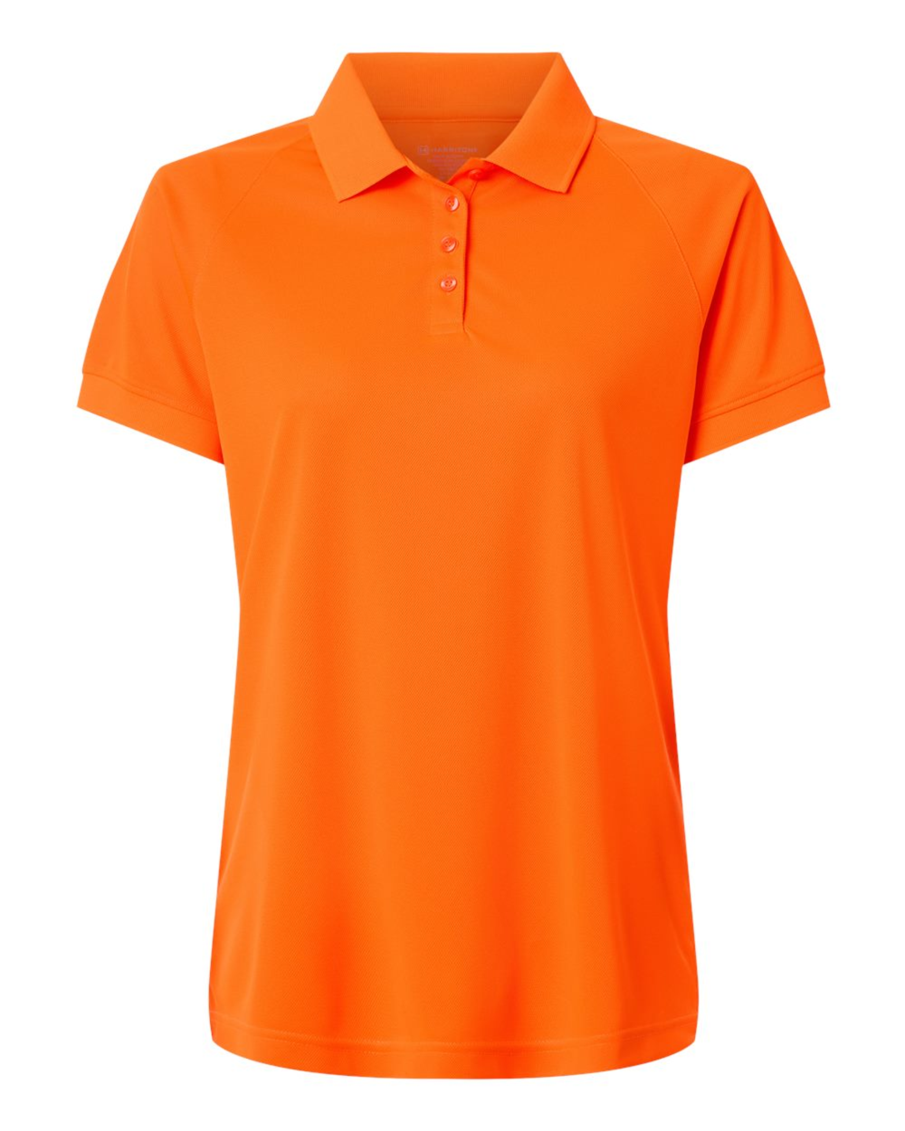 Ladies' Charge Snag and Soil Protect Polo - Harriton  M208W
