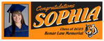 The "Sophia" Banner - 3' x 8'