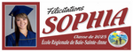 The "Sophia" Banner - 3' x 8'