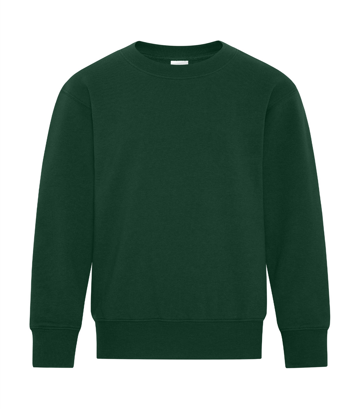 Youth Crewneck Sweatshirt - Cotton - ATC Y2400