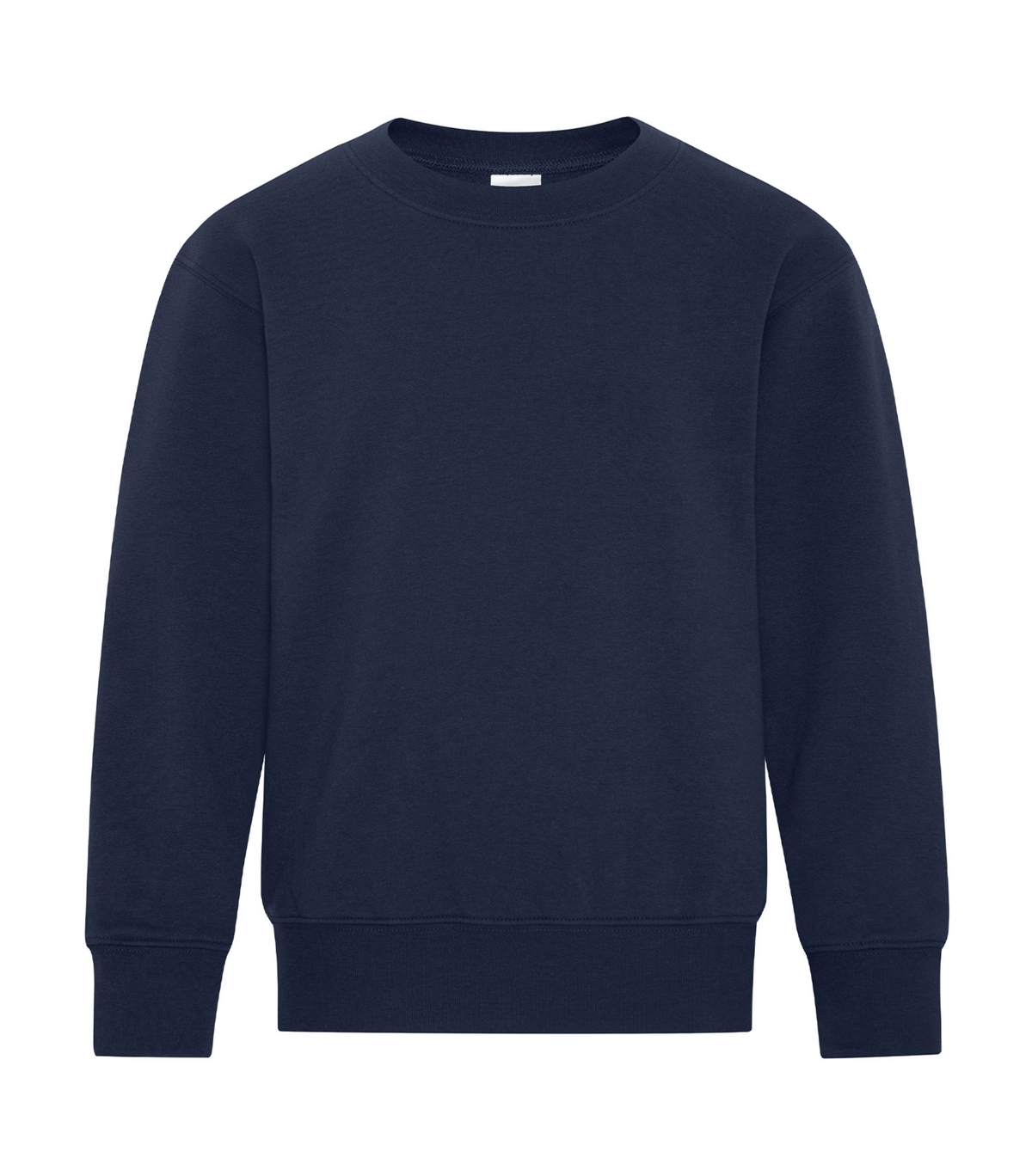Youth Crewneck Sweatshirt - Cotton - ATC Y2400