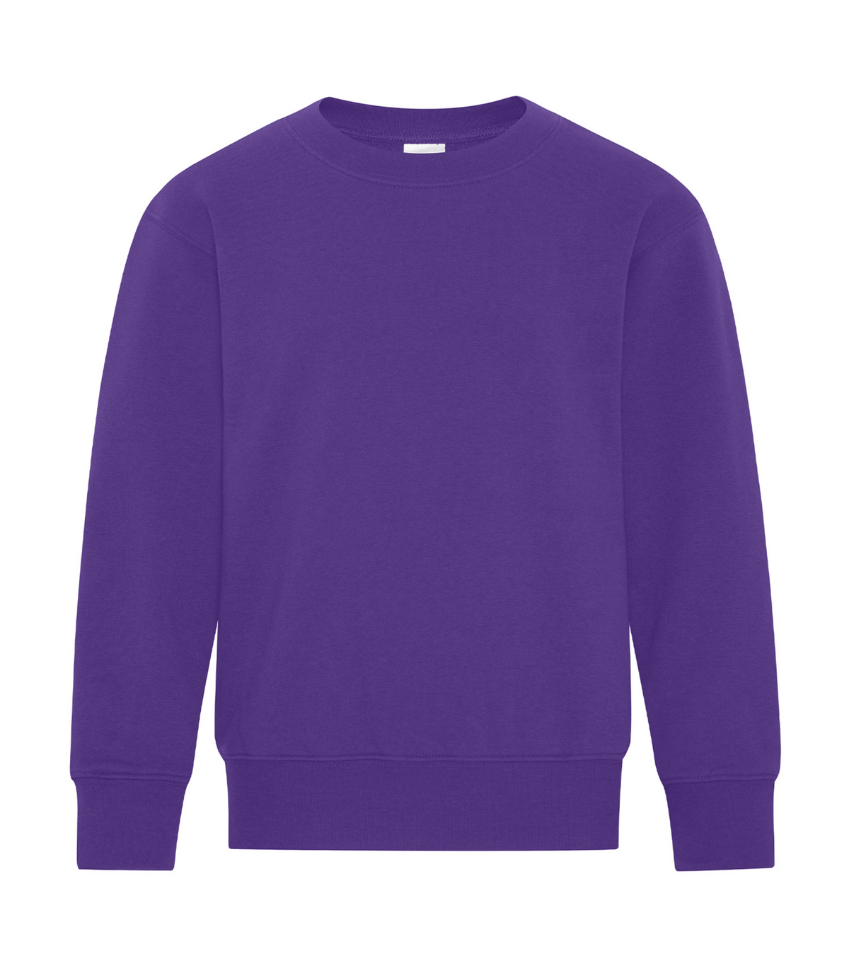 Youth Crewneck Sweatshirt - Cotton - ATC Y2400