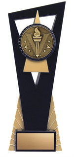 Matrix Series Trophy Gold 7’’ 8’’ & 9’’