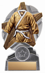 Martial Arts trophy - Pro Star series