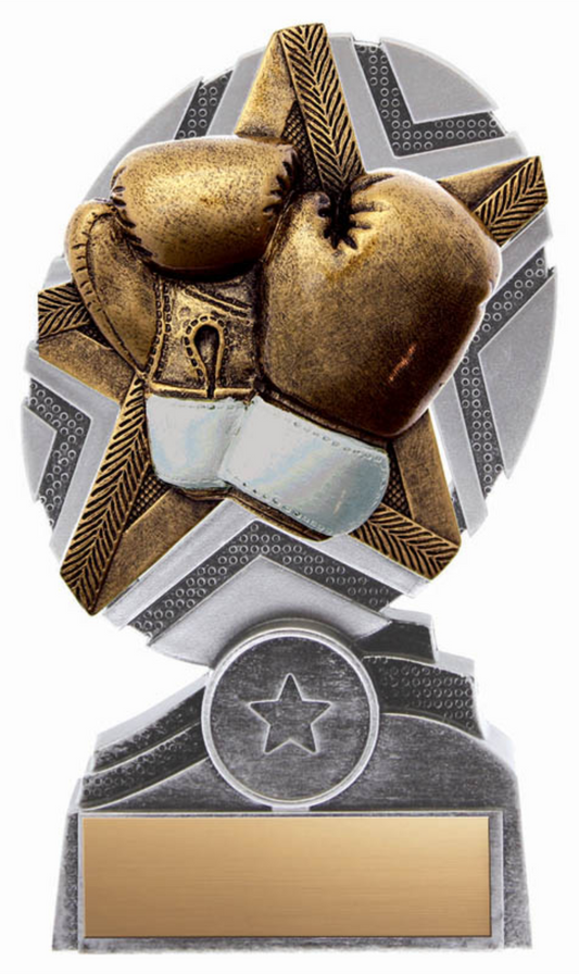 Boxing trophy - Pro Star series