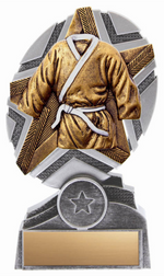 Martial Arts trophy - Pro Star series