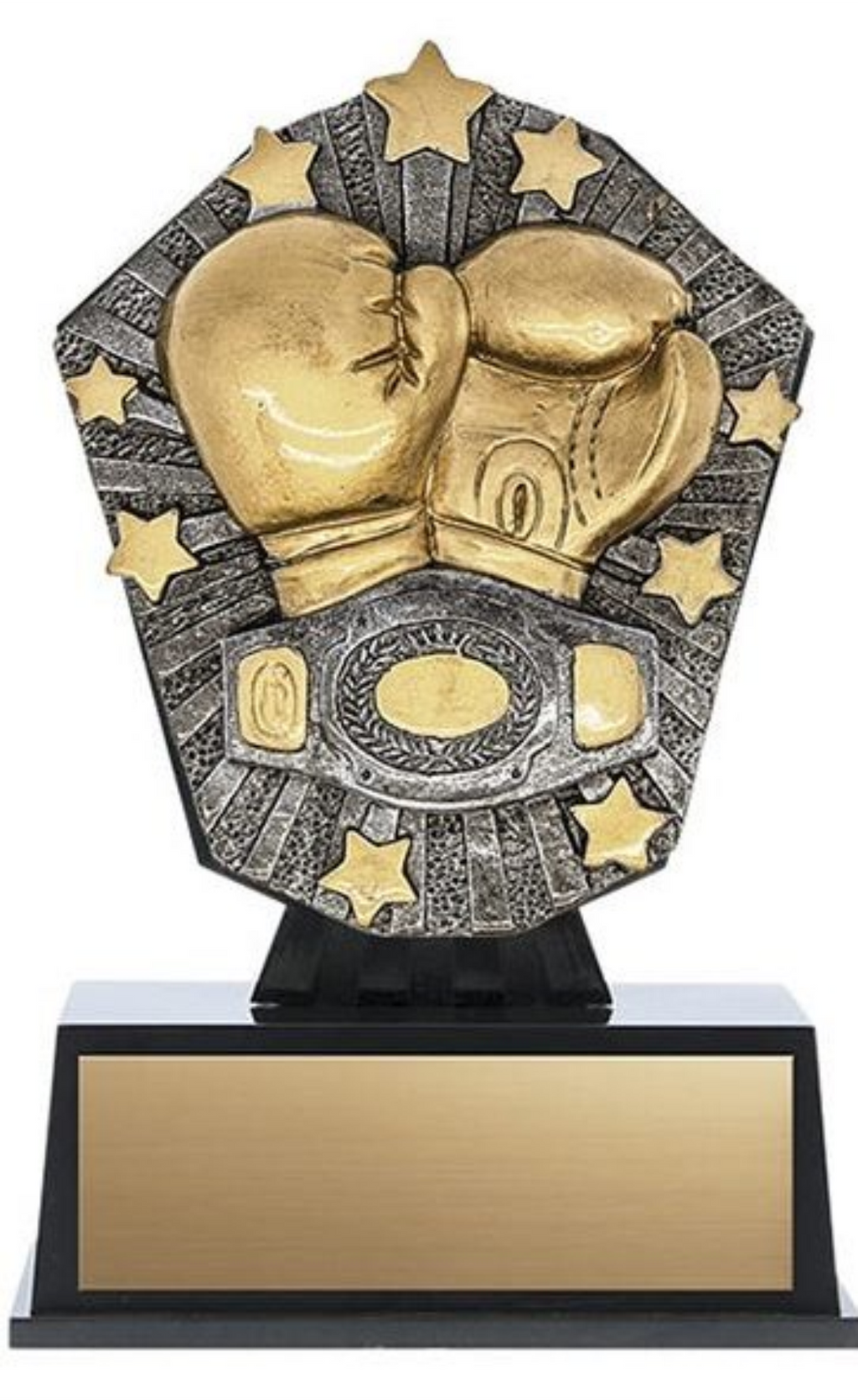 Boxing trophy - Cosmos series