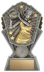 Net Ball trophy - Cosmos series