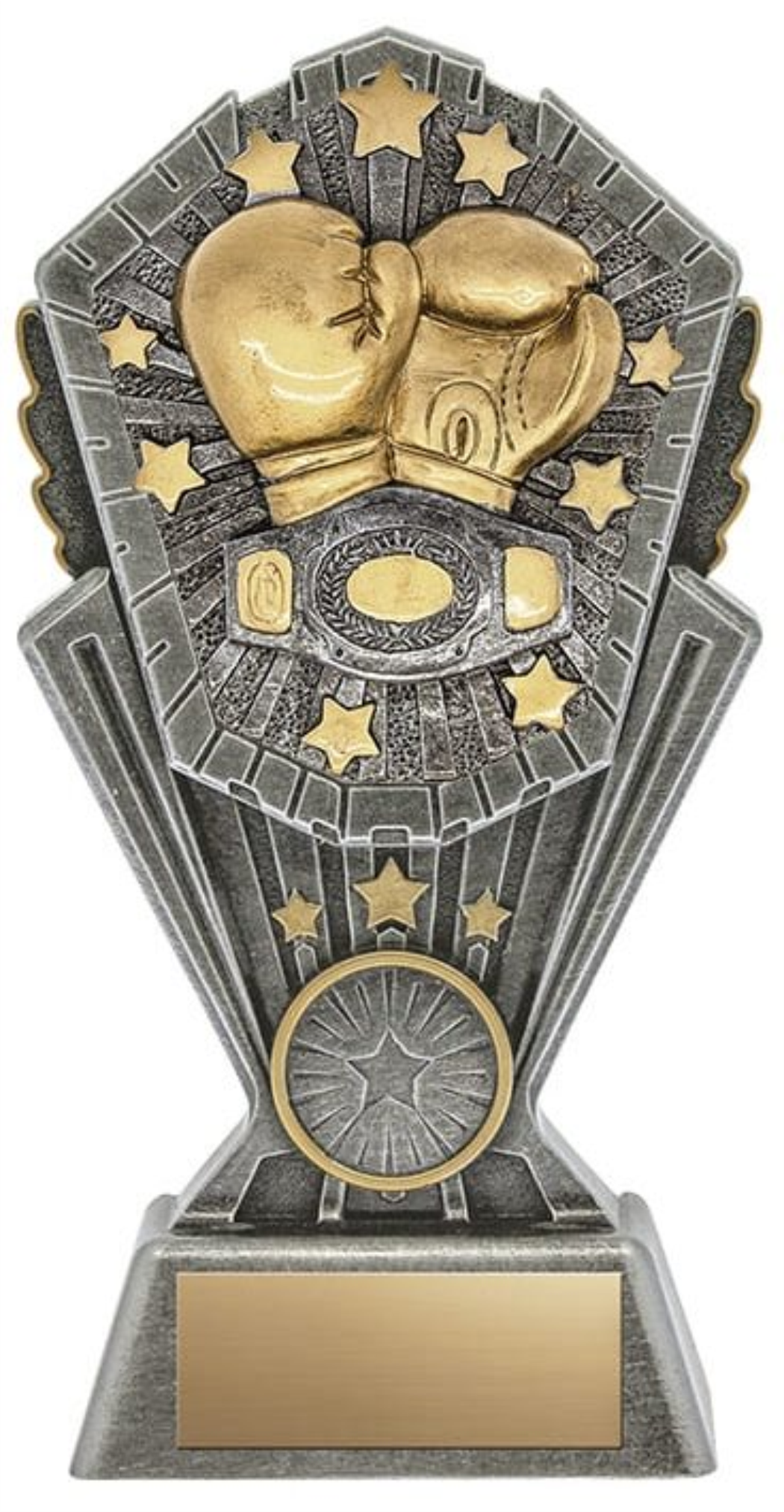 Boxing Abstract Trophy Boxing trophy - Cosmos series – River Signs