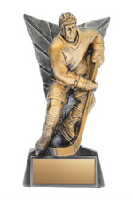Hockey Male trophy - Delta series