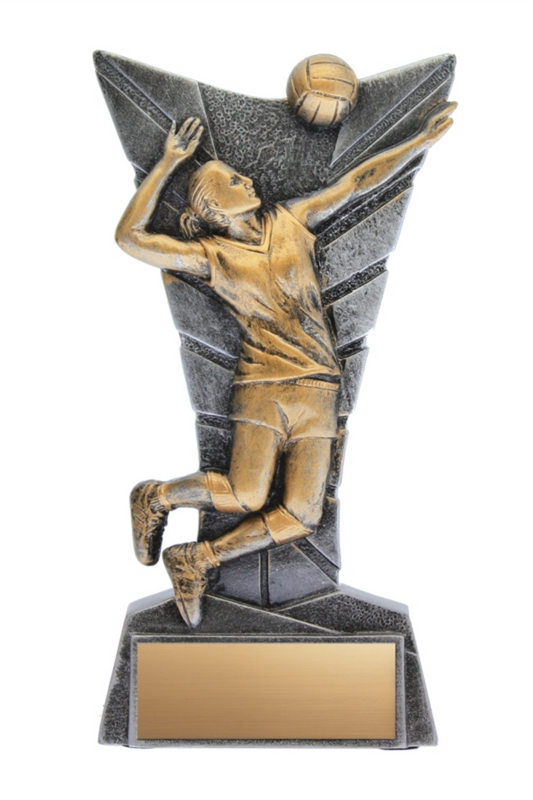 Volleyball trophy - Delta series