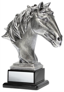 Horse Head Trophy